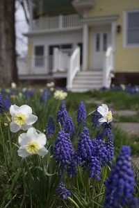 The House – Colorblends House and Spring Garden