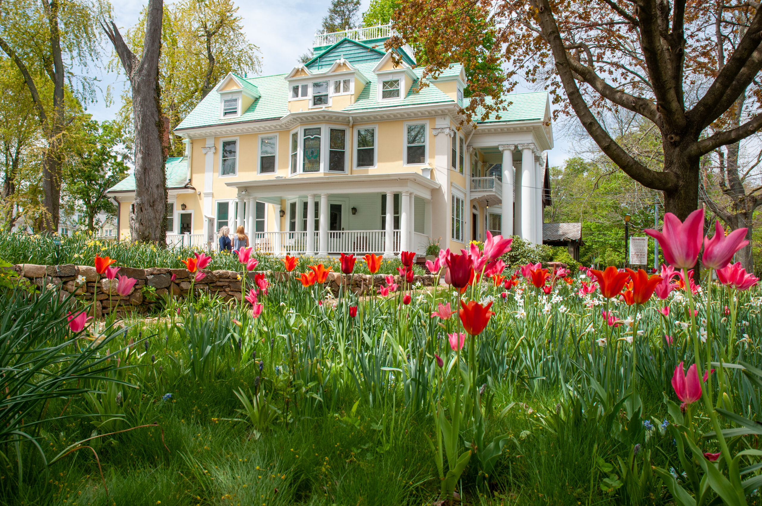 Colorblends House and Spring Garden