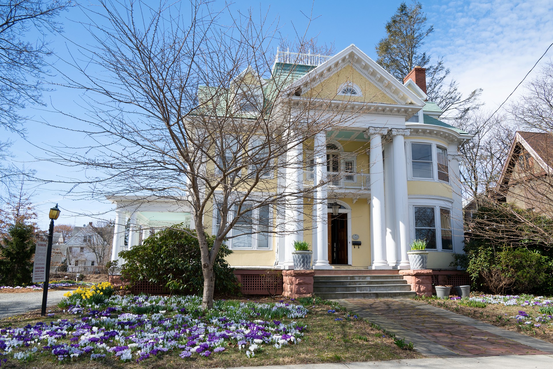Colorblends House and Spring Garden